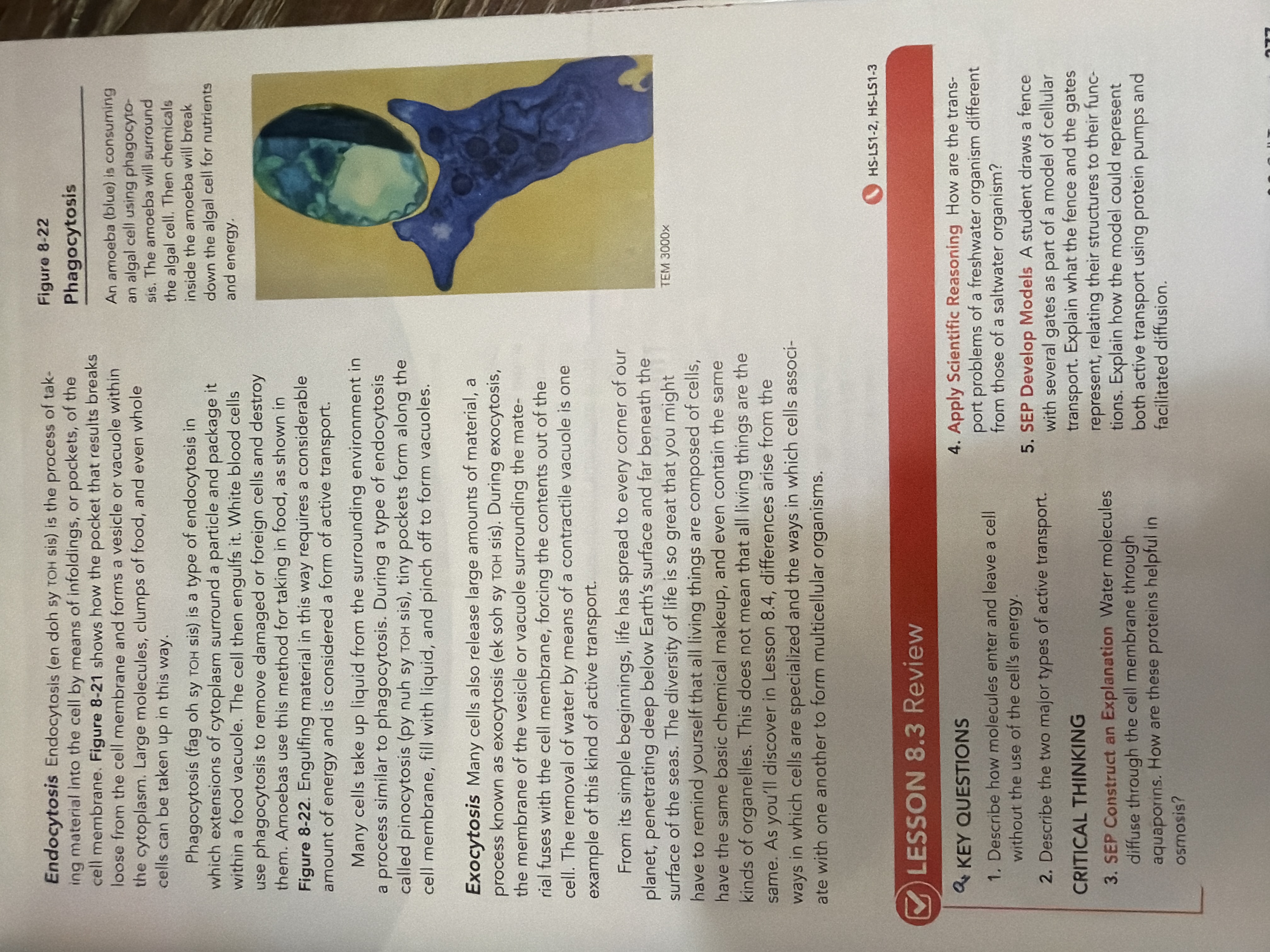 Inside page